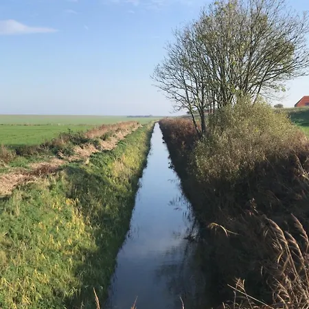 Gulfhof Siebelshoern Dornum