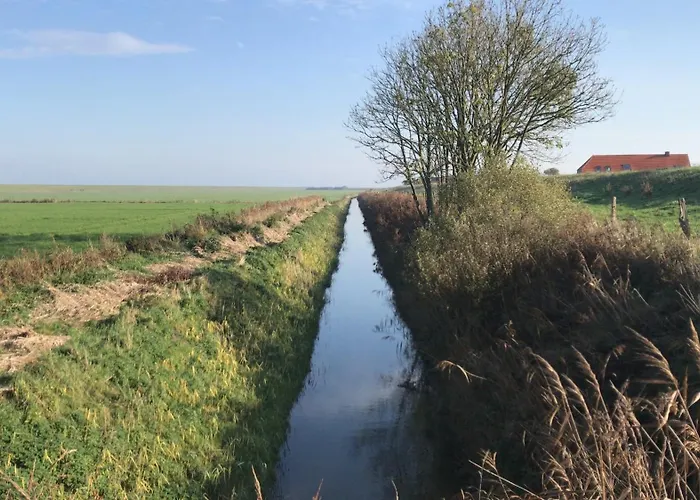 Gulfhof Siebelshoern Dornum